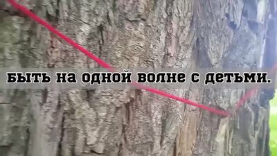 СПО Эйдос