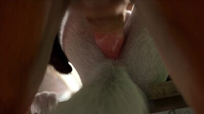 Yiff gay
