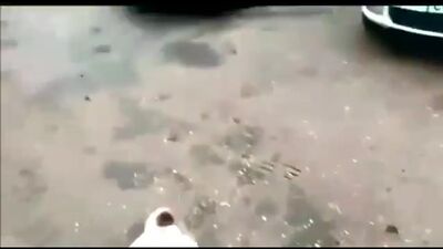 Дед доест